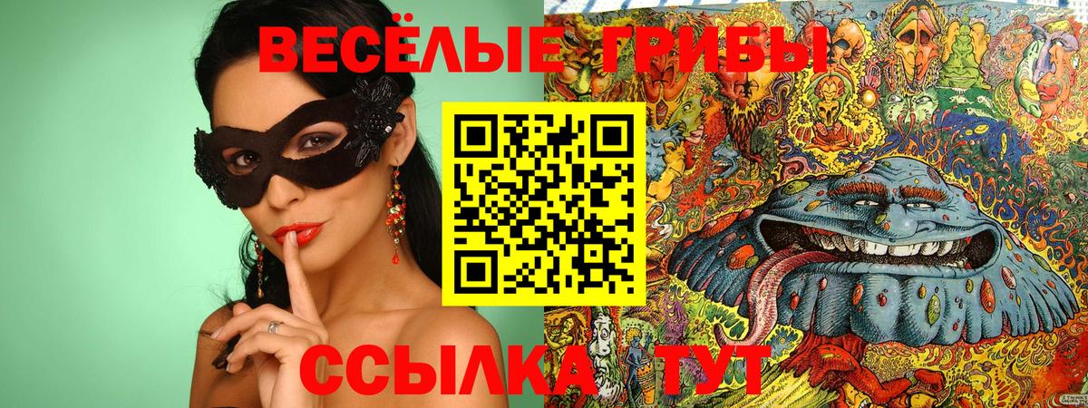 Псилоцибиновые грибы MAGIC MUSHROOMS Приморско-Ахтарск