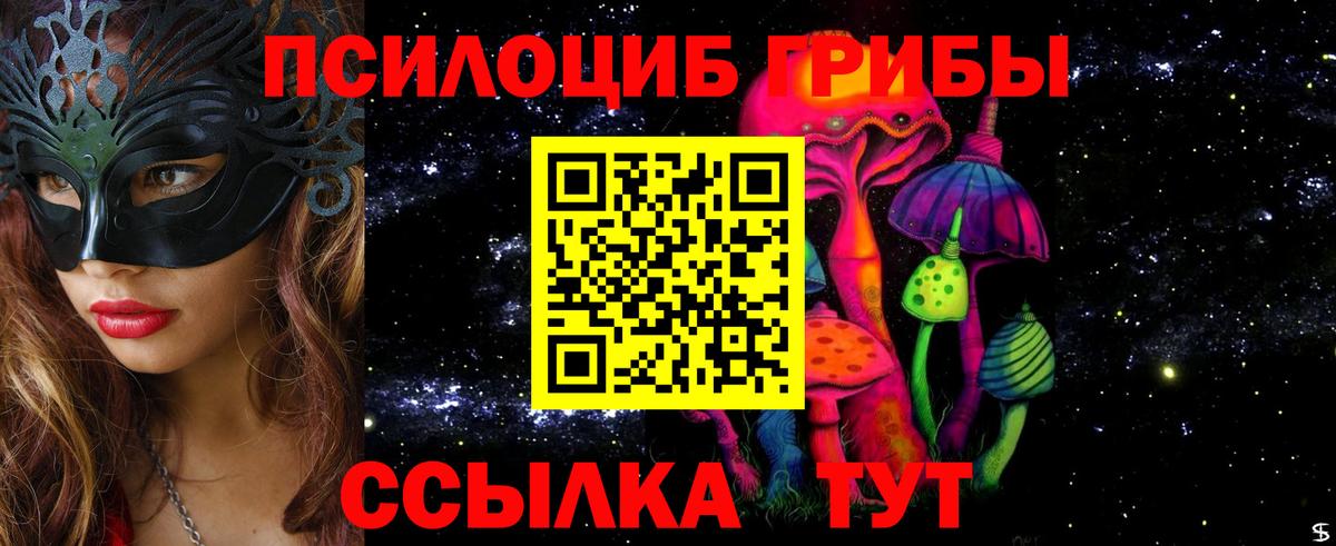 Псилоцибиновые грибы Psilocybe  Вход с VPN  Приморско-Ахтарск 